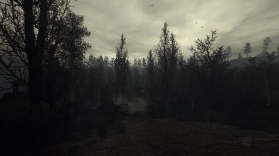 ������� ������� ����