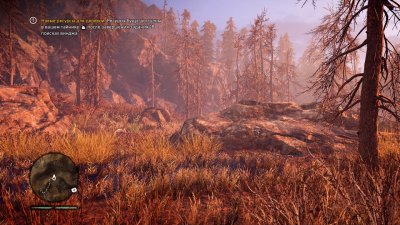 ��� ���� ������ ��������