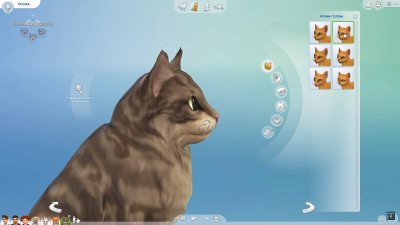 ���� 4 ������� ������