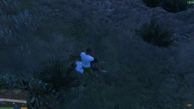 ��� 5 �������� �����