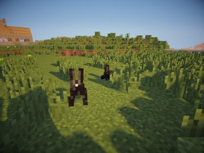 ������� ��� ������ ��