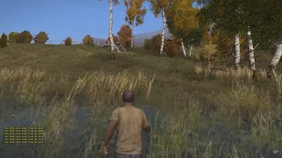 DayZ Standalone ������� � �������