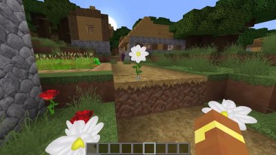 ��������� 2009 ����