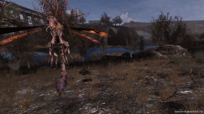 ������� ����� ��������� ��������