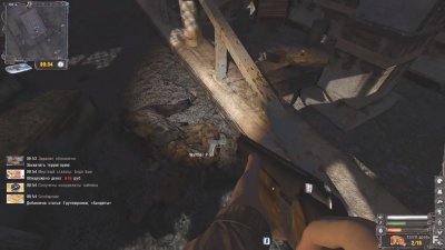 ������� Back to the Roots